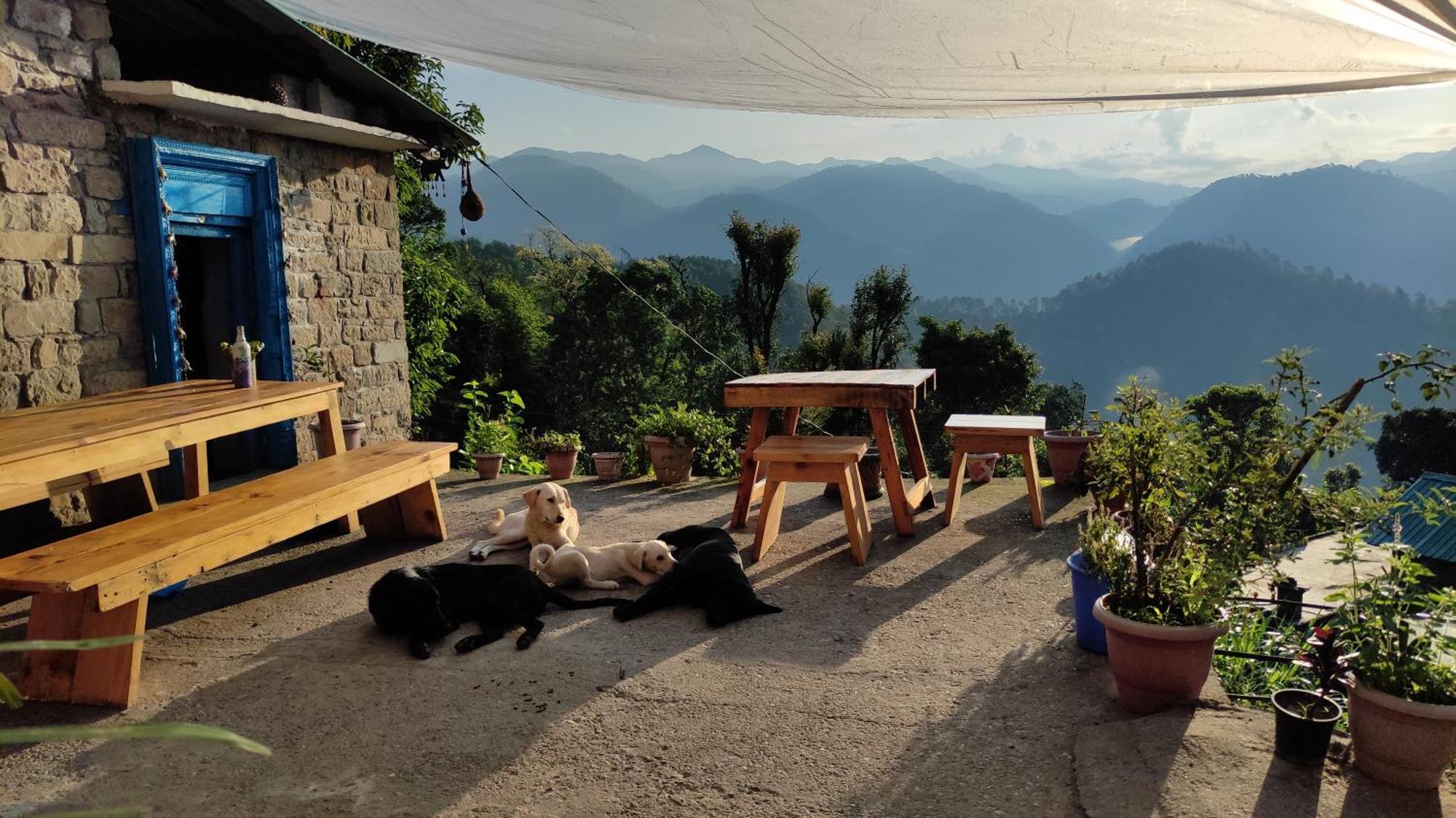 Vista Hostel Jeolikote, Nainital Patwa Dunga Habitación foto